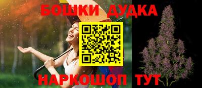 прущие грибы Будённовск
