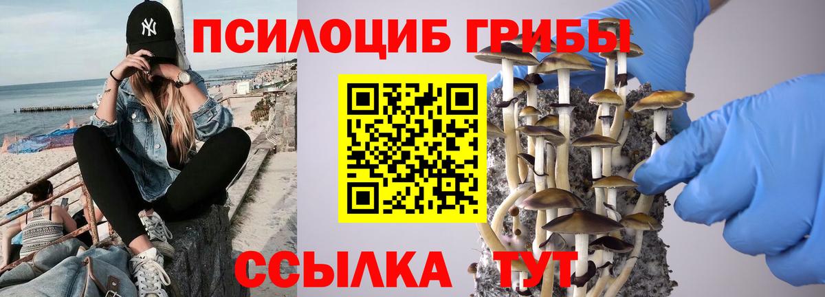 Псилоцибиновые грибы прущие грибы Надым